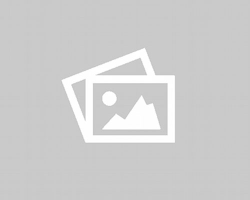 Logo Conceitos fundamentais da psicossomática psicanalítica 